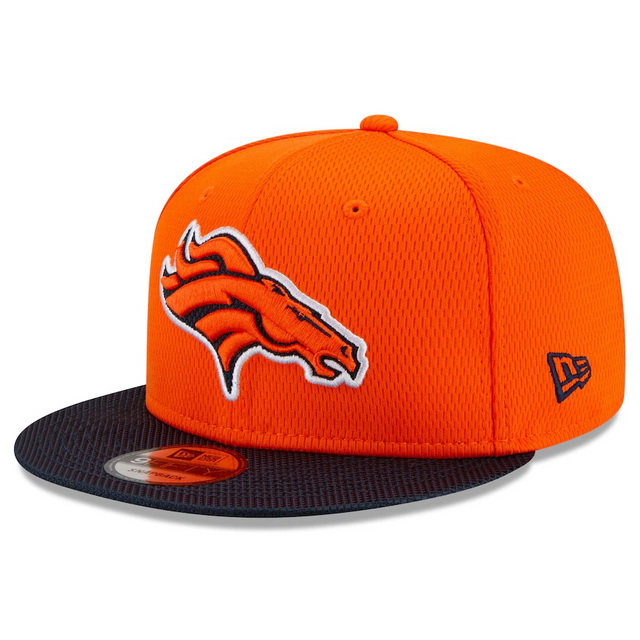 NFL hats 060