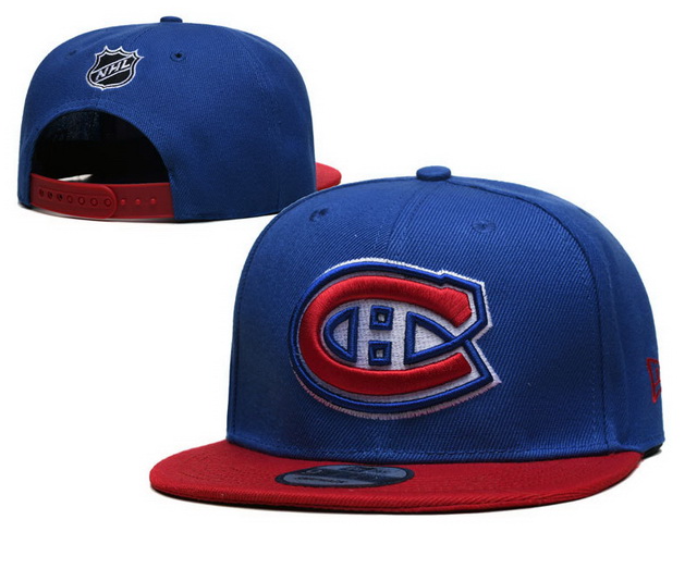 NHL hats 002 [Cheap NHL hats 2]